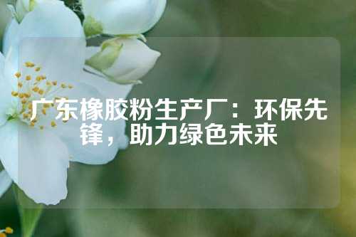 广东橡胶粉生产厂：环保先锋，助力绿色未来
