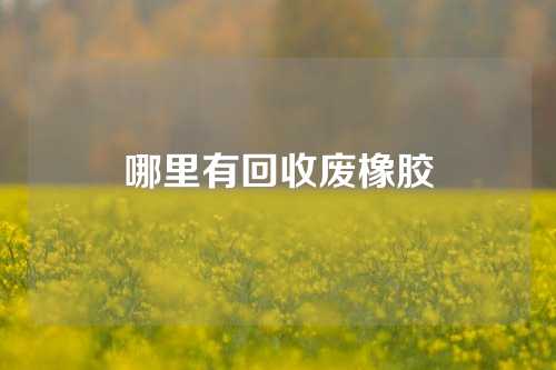 哪里有回收废橡胶