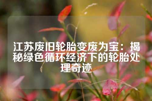 江苏废旧轮胎变废为宝：揭秘绿色循环经济下的轮胎处理奇迹