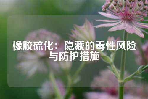 橡胶硫化：隐藏的毒性风险与防护措施