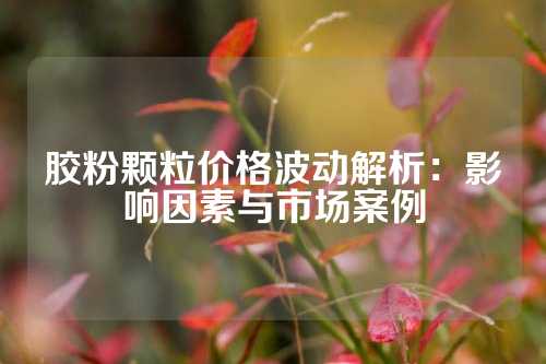 胶粉颗粒价格波动解析：影响因素与市场案例