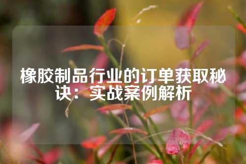 橡胶制品行业的订单获取秘诀：实战案例解析