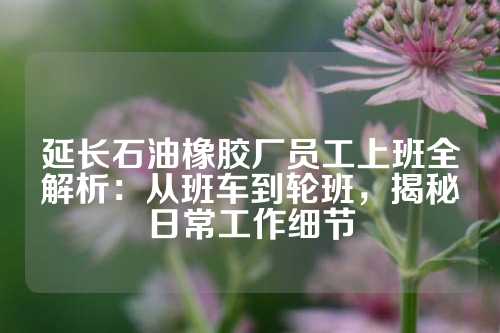 延长石油橡胶厂员工上班全解析：从班车到轮班，揭秘日常工作细节