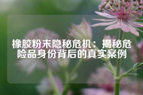 橡胶粉末隐秘危机：揭秘危险品身份背后的真实案例