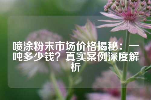 喷涂粉末市场价格揭秘：一吨多少钱？真实案例深度解析