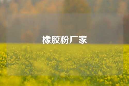 橡胶粉厂家