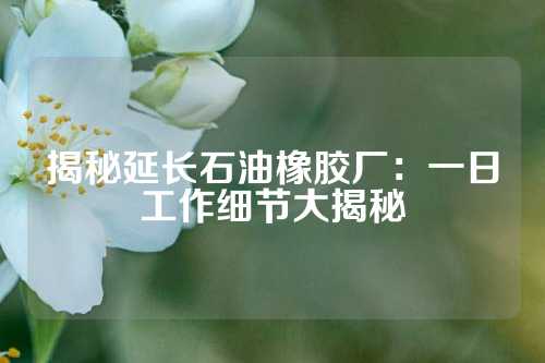 揭秘延长石油橡胶厂：一日工作细节大揭秘