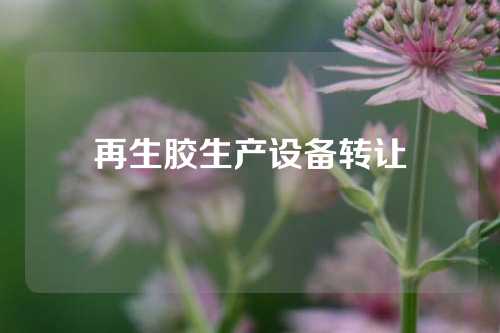 再生胶生产设备转让