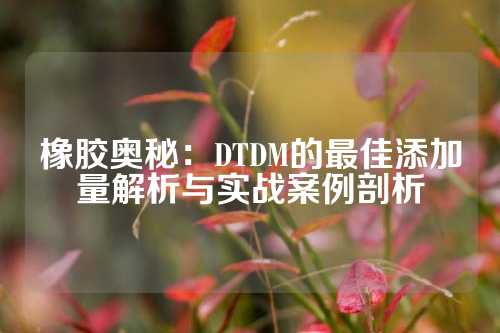 橡胶奥秘：DTDM的最佳添加量解析与实战案例剖析