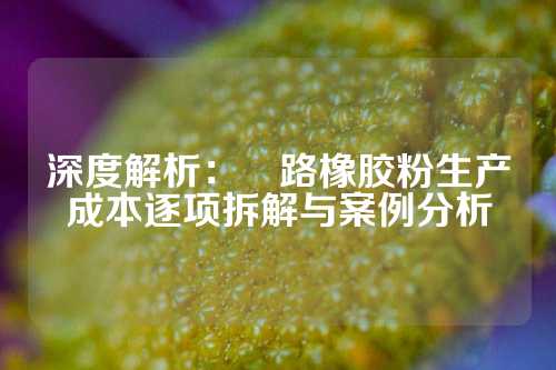 深度解析：俢路橡胶粉生产成本逐项拆解与案例分析