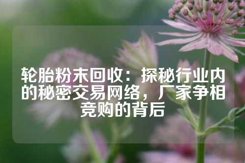 轮胎粉末回收：探秘行业内的秘密交易网络，厂家争相竞购的背后