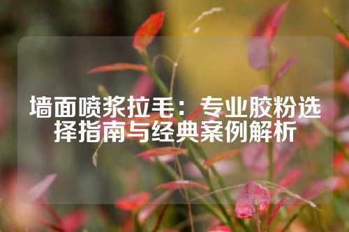 墙面喷浆拉毛：专业胶粉选择指南与经典案例解析