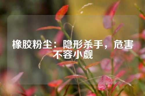橡胶粉尘：隐形杀手，危害不容小觑