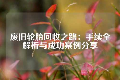 废旧轮胎回收之路：手续全解析与成功案例分享