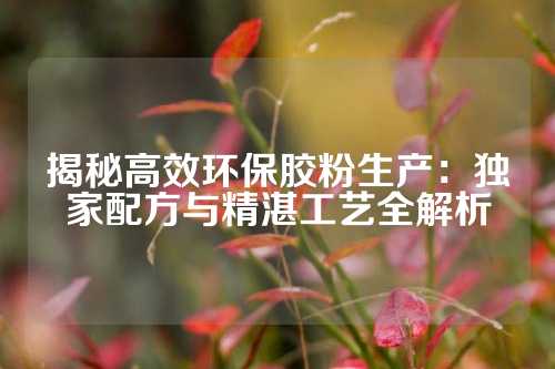 揭秘高效环保胶粉生产：独家配方与精湛工艺全解析