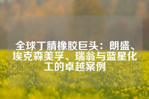 全球丁腈橡胶巨头：朗盛、埃克森美孚、瑞翁与蓝星化工的卓越案例