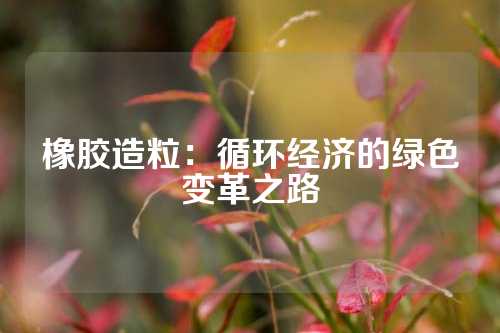 橡胶造粒：循环经济的绿色变革之路