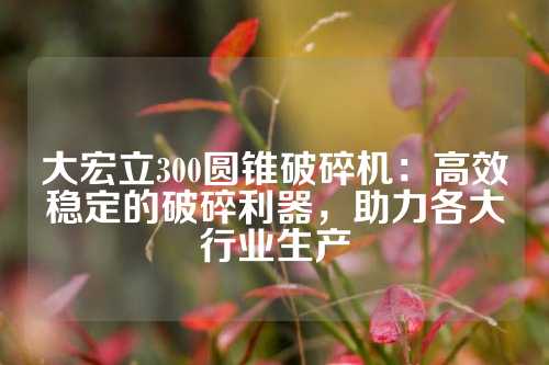 大宏立300圆锥破碎机：高效稳定的破碎利器，助力各大行业生产