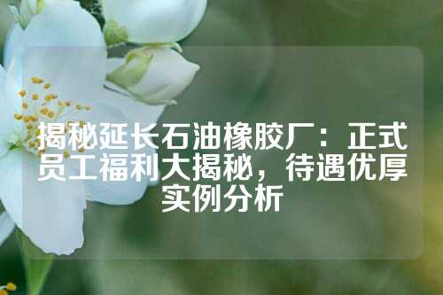 揭秘延长石油橡胶厂：正式员工福利大揭秘，待遇优厚实例分析