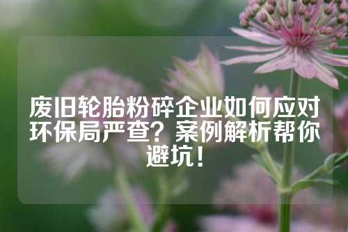 废旧轮胎粉碎企业如何应对环保局严查？案例解析帮你避坑！