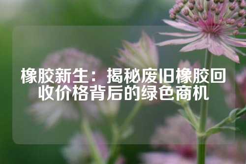 橡胶新生：揭秘废旧橡胶回收价格背后的绿色商机