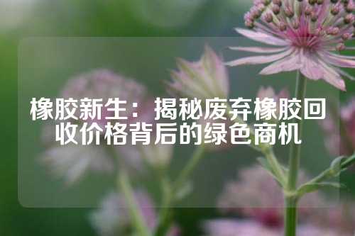 橡胶新生：揭秘废弃橡胶回收价格背后的绿色商机