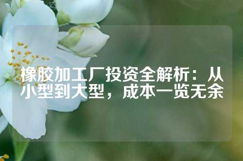 橡胶加工厂投资全解析：从小型到大型，成本一览无余