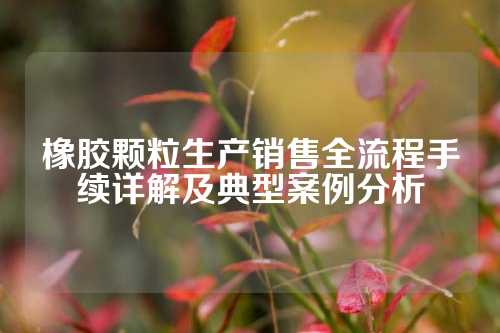 橡胶颗粒生产销售全流程手续详解及典型案例分析