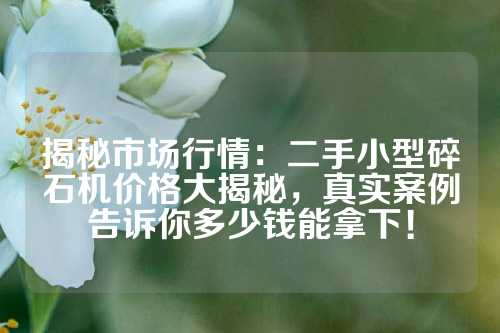 揭秘市场行情：二手小型碎石机价格大揭秘，真实案例告诉你多少钱能拿下！
