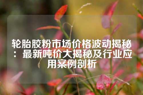 轮胎胶粉市场价格波动揭秘：最新吨价大揭秘及行业应用案例剖析