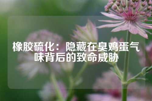 橡胶硫化：隐藏在臭鸡蛋气味背后的致命威胁