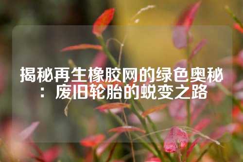揭秘再生橡胶网的绿色奥秘：废旧轮胎的蜕变之路