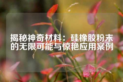 揭秘神奇材料：硅橡胶粉末的无限可能与惊艳应用案例