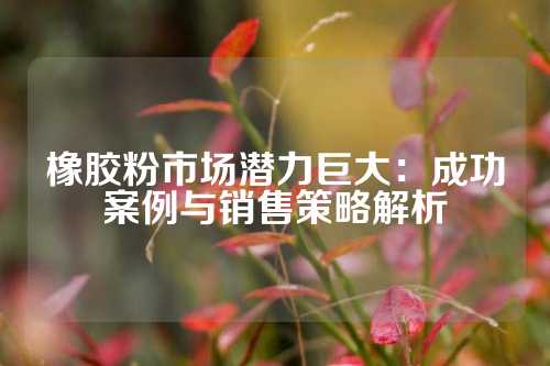 橡胶粉市场潜力巨大：成功案例与销售策略解析