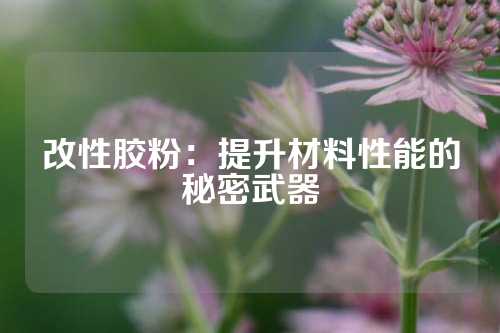 改性胶粉：提升材料性能的秘密武器