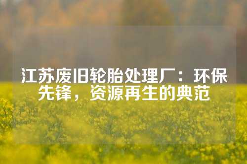 江苏废旧轮胎处理厂：环保先锋，资源再生的典范