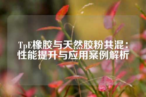 TpE橡胶与天然胶粉共混：性能提升与应用案例解析