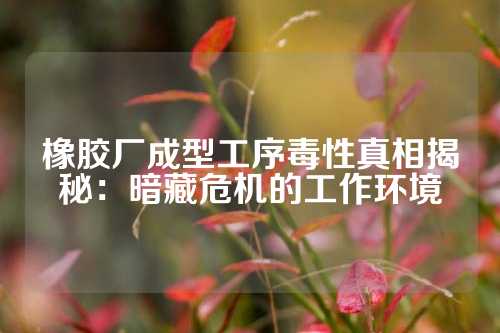 橡胶厂成型工序毒性真相揭秘：暗藏危机的工作环境