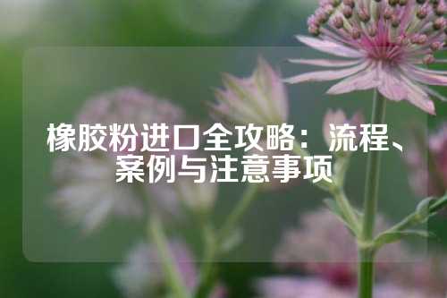 橡胶粉进口全攻略：流程、案例与注意事项