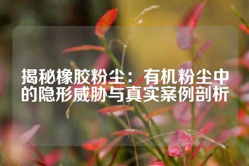 揭秘橡胶粉尘：有机粉尘中的隐形威胁与真实案例剖析