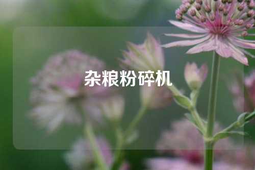 杂粮粉碎机