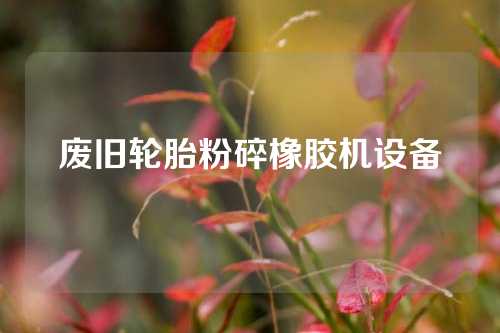 废旧轮胎粉碎橡胶机设备