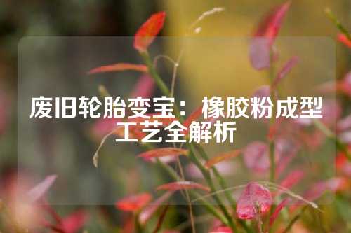 废旧轮胎变宝：橡胶粉成型工艺全解析