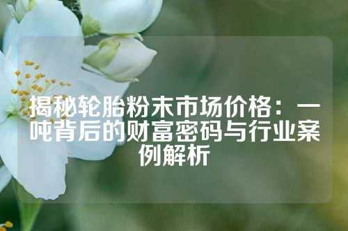 揭秘轮胎粉末市场价格：一吨背后的财富密码与行业案例解析