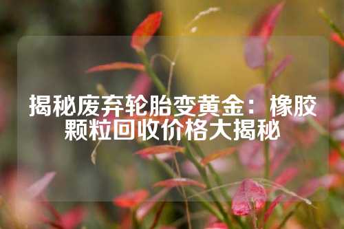 揭秘废弃轮胎变黄金：橡胶颗粒回收价格大揭秘