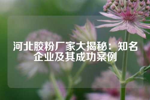 河北胶粉厂家大揭秘：知名企业及其成功案例