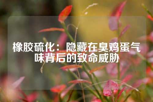 橡胶硫化：隐藏在臭鸡蛋气味背后的致命威胁