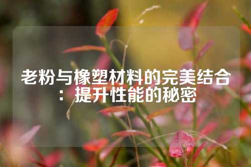 老粉与橡塑材料的完美结合：提升性能的秘密