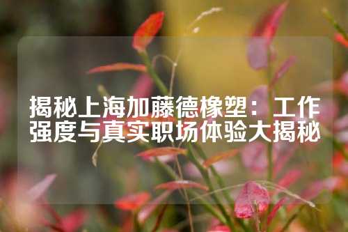 揭秘上海加藤德橡塑：工作强度与真实职场体验大揭秘
