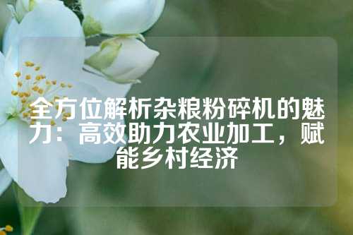 全方位解析杂粮粉碎机的魅力：高效助力农业加工，赋能乡村经济